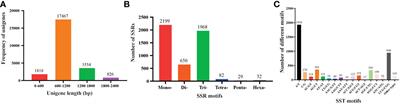 Development of simple sequence repeat markers for sugarcane from data mining of expressed sequence tags